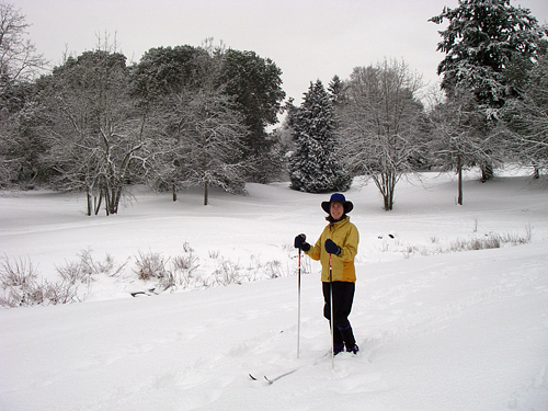 Lakewood Park Seattle Snow cross-Country Nordic Skiing