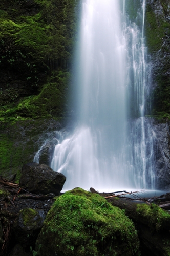 Marymere Falls Olympic National Park Olympic Peninsula Lower Half And Pool