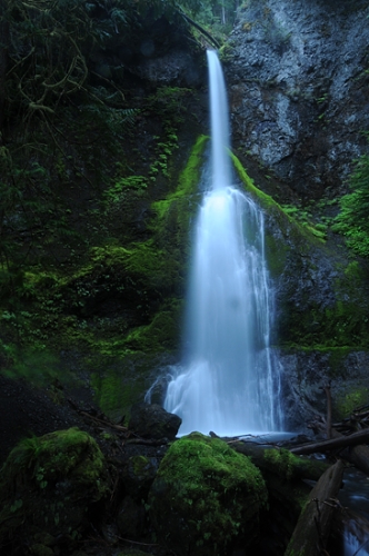 Marymere Falls Olympic National Park Olympic Peninsula