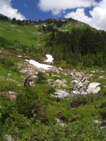 Open Meadows With Residual Snowfields On The Way To Monogram Lake