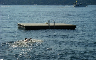 Medina Amazing Race Swimming To Clue On Floating Swim Platform Dock In Lake Washington By Medina Beach Park