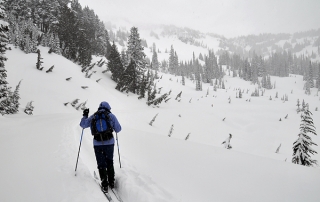 Mount Rainier National Park Paradise Valley Cross-Country Skiing Down Valley Road