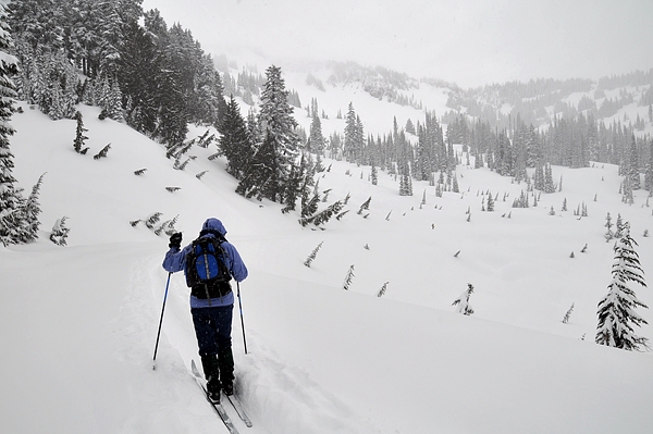 Mount Rainier National Park Paradise Valley Cross-Country Skiing Down Valley Road