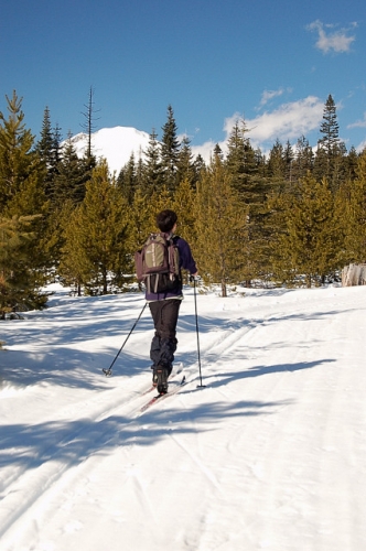 Pipeline Loop Trail Mt Adams Gifford Pinchot National Forest Cross-Country Skiing