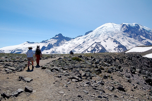 Burroughs Mountain Trail First Burroughs To Second Burroughs In Mt Rainier National Park