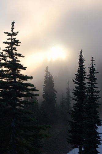 Naches Peak Loop Trail In Mt Rainier National Park With Mist And Trees