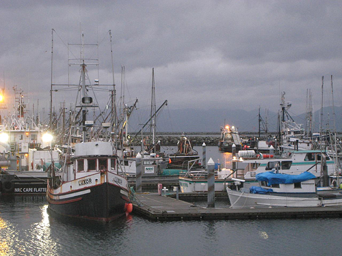 Neah Bay Marina On Cape Flattery Olympic Peninsula Commercial Fishing Boats