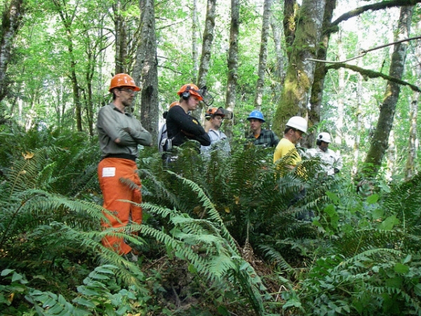 Forest Classroom Group In Game Of Logging Tree Felling Yarding Bucking Chainsaw Safety Course In Oakville