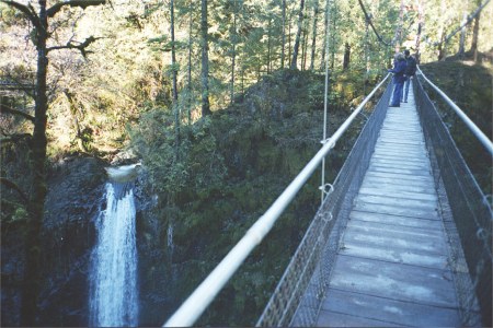 Hiking To Driftwood Falls On Suspension Bridge, Oregon Coast