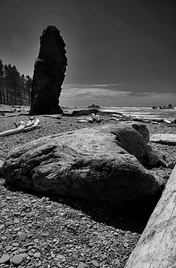 Ruby Beach Olympic National Park Olympic Peninsula Sea Stacks Driftwood Logs Pacific Ocean Beach