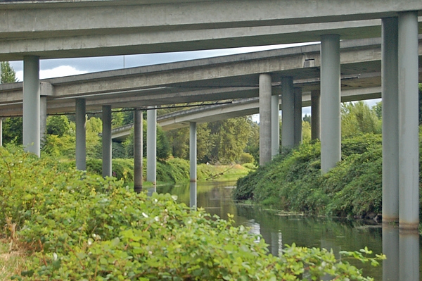 Bridges Over Sammamish River Trail