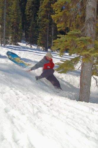 Don Sledding And About To Hit Tree At Scottish Lakes High Camp