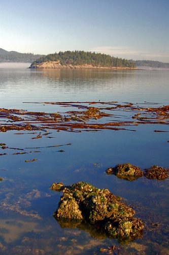 Skagit Island State Park Viewed Across Skagit Bay From Hope Island State Park