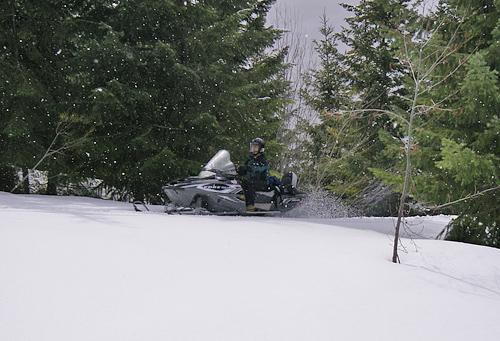 Kachess Lake Snowmobiling By Wenatchee National Forest Service Road NFD 4818 Snowmobile Coming Out Of Trees Off-trail Josh