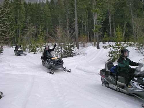 Snowmobile Trails In Wenatches National Forest Near Kachess Lake Jim, Dan, And Josh