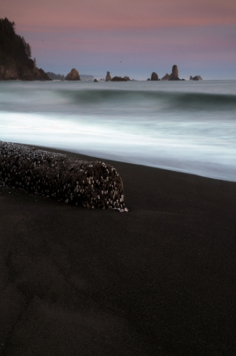 Third Beach La Push Olympic National Park Olympic Peninsula Log Waves Seastacks Clouds