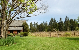 Whidbey Island Winery And Vineyards In Langley