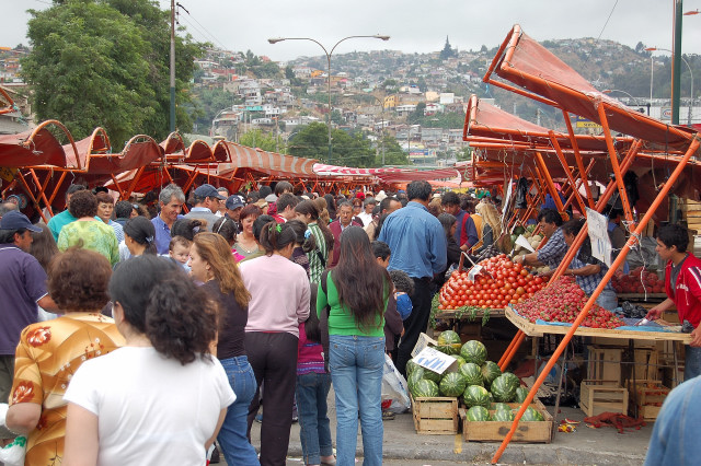 Saturday Fruits And Vegetables Market In Valparaiso, Chile