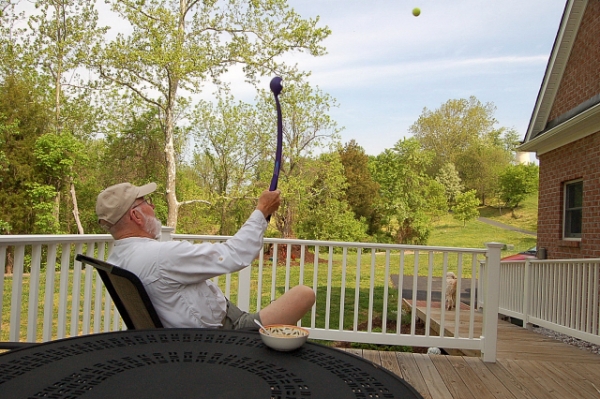 Dad And Sailor Dog Playing Catch From Mom And Dad's Back Porch