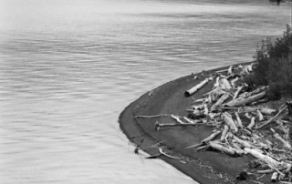 Kenai Peninsula Alaska Coast Shoreline Driftwood