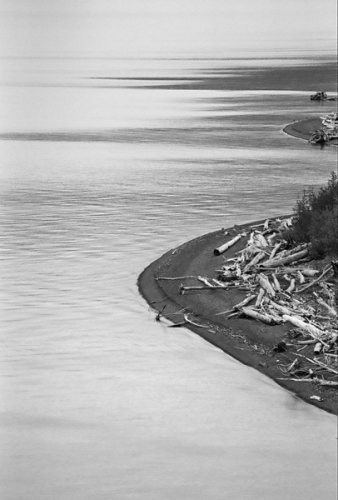 Kenai Peninsula Alaska Coast Shoreline Driftwood