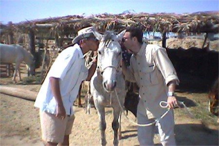 Ancel And Scott Kissing The Mare, Cabo San Lucas, Baja, Mexico