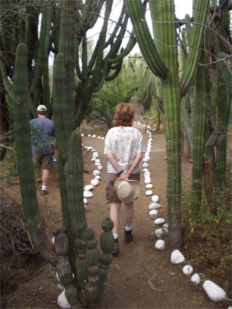 Mexico Cactus Preserve