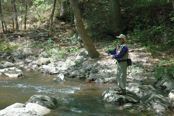 Fly Fishing Laurel Creek In Tennessee's Pond Mountain Wilderness