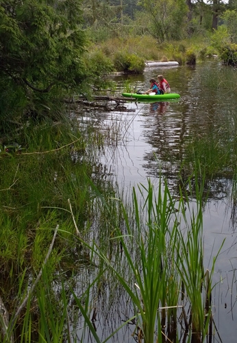 Kayak exploring edges of Cranberry Lake in Deception Pass State Park Oak Harbor