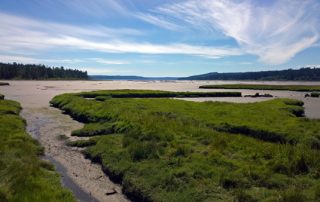 Theler Wetlands South Tidal Marsh Trail view to Hood Canal in Belfair