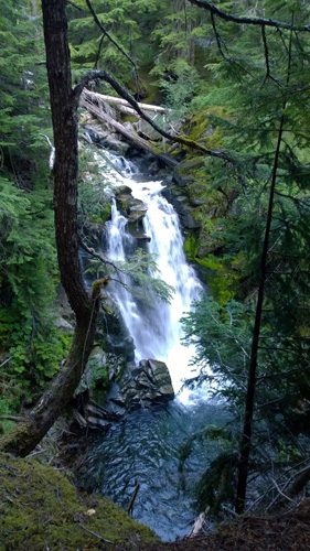 Carter Falls waterfall on Paradise River along Wonderland Trail in Mt Rainier National Park