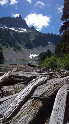 Snow Lake and weathered logs from trail in Mt Rainier National Park