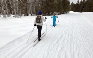 Cross-country skiing Plain Valley Nordic Ski Trails Beaver Creek Trail