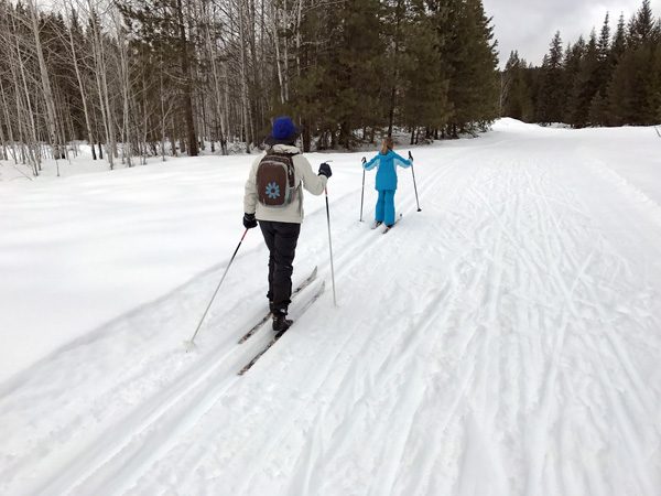 Cross-country skiing Plain Valley Nordic Ski Trails Beaver Creek Trail
