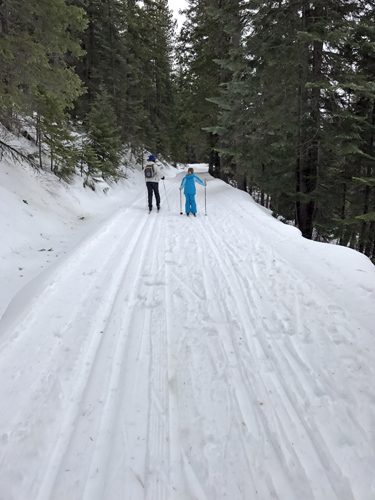 Cross-country skiing Plain Valley Nordic Ski Trails loop off of Beaver Creek Trail