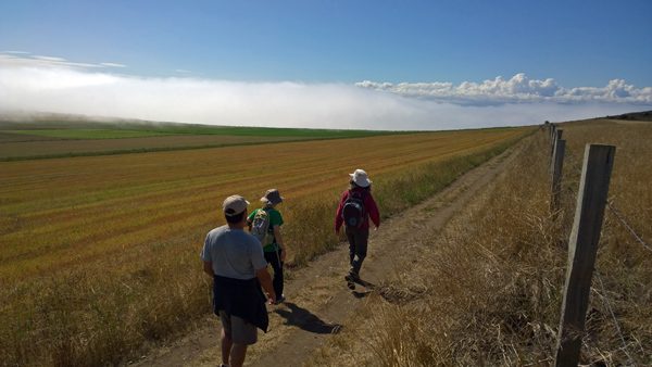 Hikers walking on Ebey's Prairie Trail in Coupeville on Whidbey Island