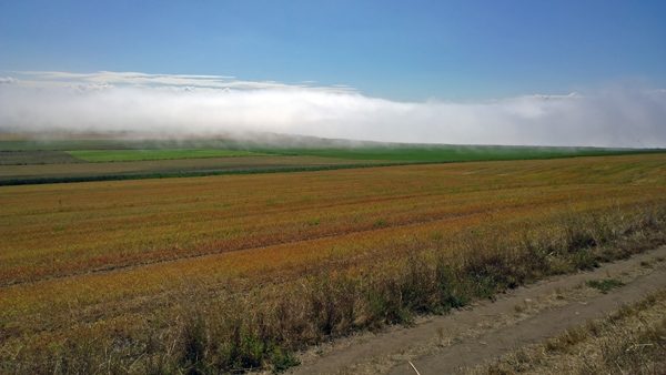 View from Ebey's Prairie Trail across farm land toward Ebey's Landing with low clouds