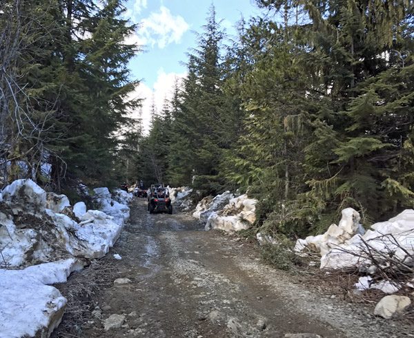 Whistler The Adventure Group RZR ATV tour group on dirt road through forest