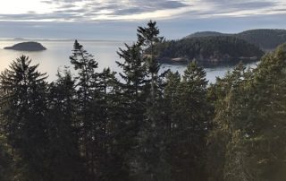 Adventure Terra sunset tree canopy climb Deception Pass State Park view north to pass from top