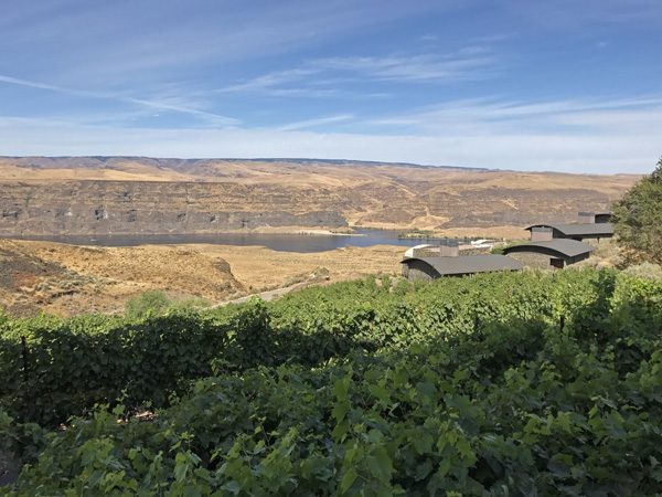 Cave B Winery and Resort rental Cliffehouses in vineyards view to Columbia River Gorge