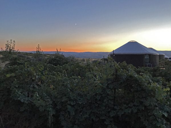 Cave B Winery and Resort rental desert yurts in vineyards at sunset