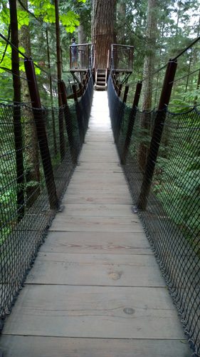 Capilano Suspension Bridge Park Treetops Adventure suspension bridge to tree platform