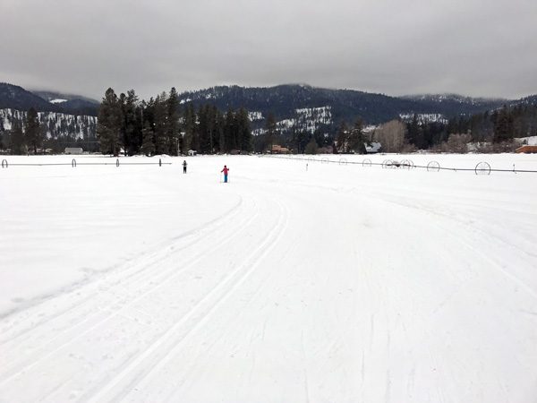 Cross-country skiers on Plain Valley Nordic Ski Trails