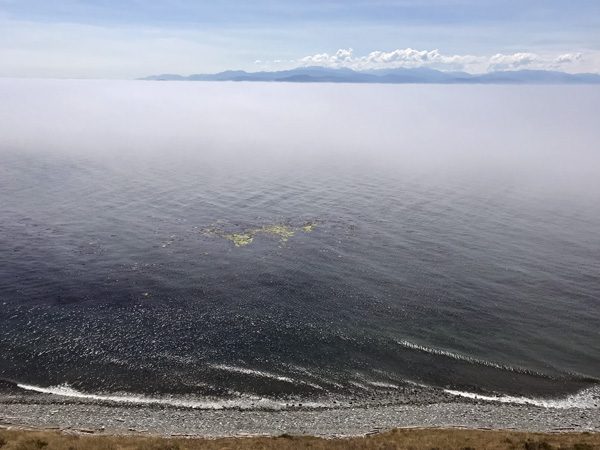 Fog over Puget Sound from Fort Ebey State Park Bluff Trail