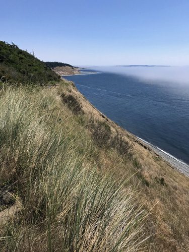 View south from Fort Ebey State Park Bluff Trail with fog over Puget Sound