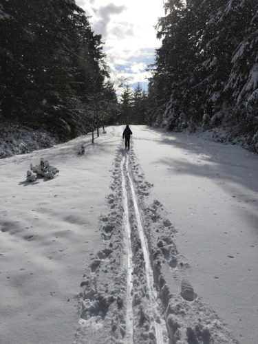 Cross-country Nordic skiing Whidbey Island Coupeville