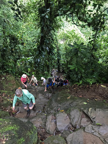Climbing first 1200 steps to The Lost City Ciudad Perdida in Colombia